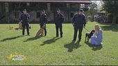L'unità cinofila dei carabinieri forestali contro le esche avvelenate