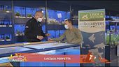 Consigli preziosi per gli appassionati di acquariologia