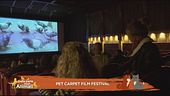 Pet Carpet Film Festival