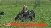Volontari per amore