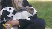 Troviamo una casa a Kira, dolce coniglietta