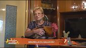 Graziella e il gallo Cicì