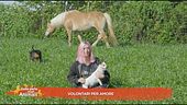 Volontari per amore