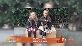 Perchè il cane scava sempre il cuscino prima di dormire?