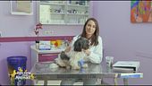 L'alimentazione corretta per il post operatorio