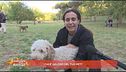 Chi è geloso del tuo pet?