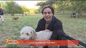 Chi è geloso del tuo pet?