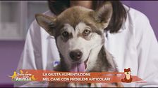 I consigli della nostra nutrizionista