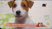 Notizia dal mondo animale