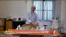 La corretta pulizia di occhi e orecchie