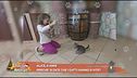 Perchè si dice che i gatti hanno 9 vite?