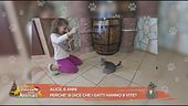 Perchè si dice che i gatti hanno 9 vite?