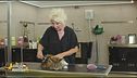 La toelettatura del gatto