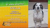 Ritroviamo Stella