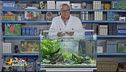 Le dimensioni dell'acquario e il numero ideale di pesci