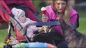 Family pack program