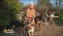 I tre cani di Carla Gozzi