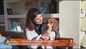 Douglas, il meraviglioso beagle di Susanna Messaggio