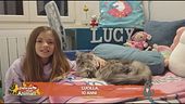 Le domande dei più piccoli