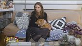 Come gestire il corretto peso corporeo del proprio gatto?