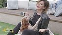 Venghi, il cane furbetto di Alba Parietti