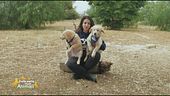 Diano e Giada in cerca di coccole