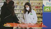 Quando il cane ha paura del veterinario