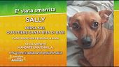 Ritroviamo Sally