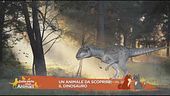 Animali da scoprire: il dinosauro