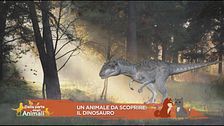 Animali da scoprire: il dinosauro