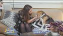 Snack per cani: quando posso darli?