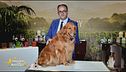Il profumo per il cane