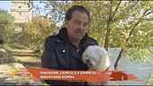Theodore, l'amico a 4 zampe di: Sebastiano Somma