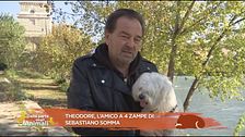 Theodore, l'amico a 4 zampe di: Sebastiano Somma