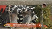 Le notizie dal mondo