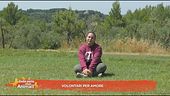 Volontari per amore