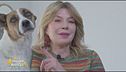 La splendida Nina, la tenera cagnolina di... Benedicta Boccoli