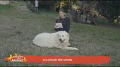 Volontari per amore