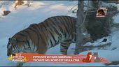 Notizie dal mondo