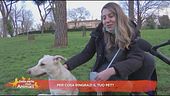 Per cosa ringrazi il tuo pet?