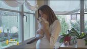 Perla, la gattina giocherellona di: Cristina Parodi