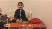 Perchè ai gatti piacciono i grattini?