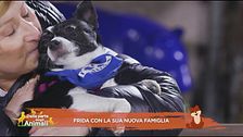 Frida con la sua nuova famiglia