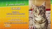 Ritroviamo Caleb