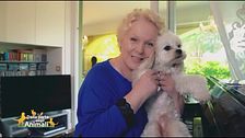 Ciuffy, il tenero amore di  Katia Ricciarelli
