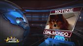 Notizie dal mondo