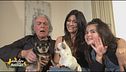 Nuit e Cico, gli amici pelosi della famiglia Fogli