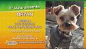 Bryan si è smarrito, aiutiamo a ritrovarlo