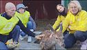 Gli animali selvatici ospiti del Cras - Stella del Nord
