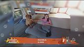 Perchè ai cani piace tanto salire sul divano?